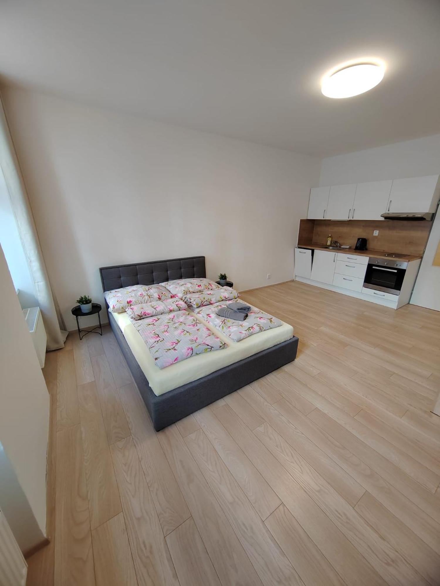 Apartia Vlhka 26, Brno-Center Exteriér fotografie